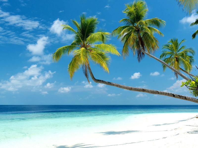 Mercure Maldives Kooddoo Adults-Only Resort - 35 Percent Off Return Domestic Transfers For Two Adults Until September Viligili Eksteriør billede
